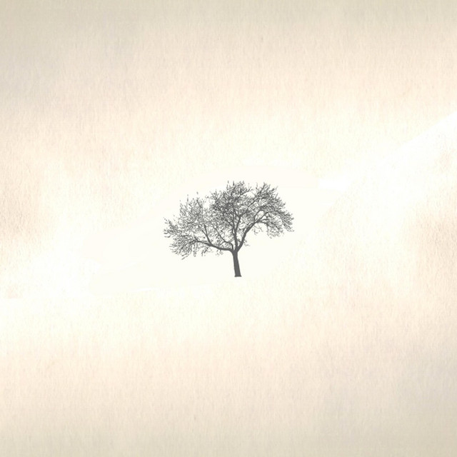 In Memories cover art