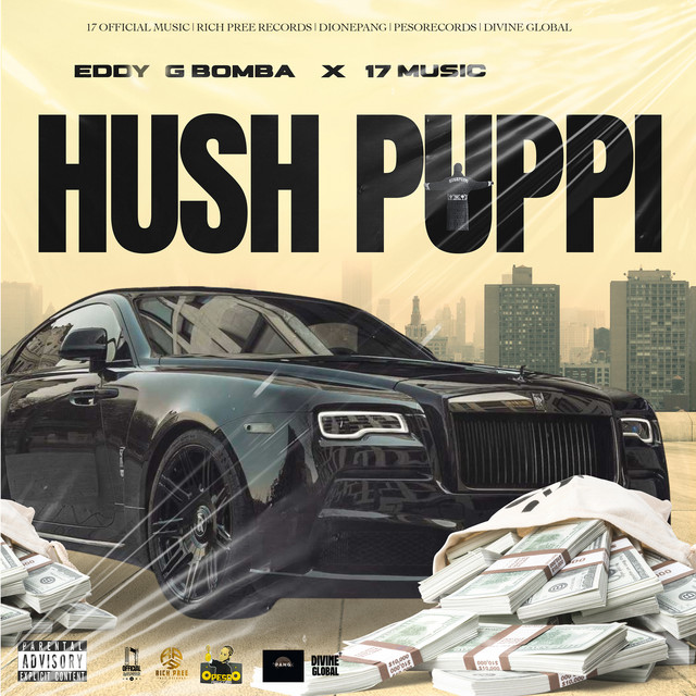 Hush Puppi cover art