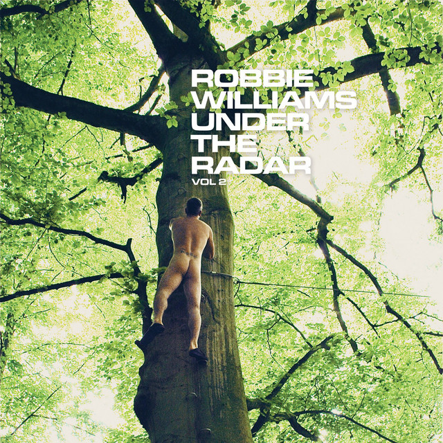 Under the Radar, Vol. 2 (Deluxe) cover art