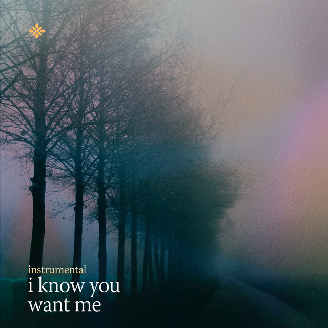 I Know You Want Me ((Instrumental)) [Calle Ocho]