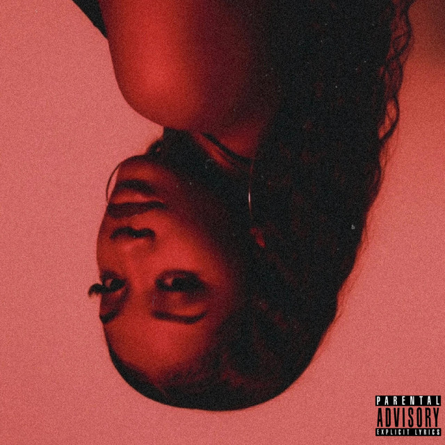 NO BOYZ ALLOWED cover