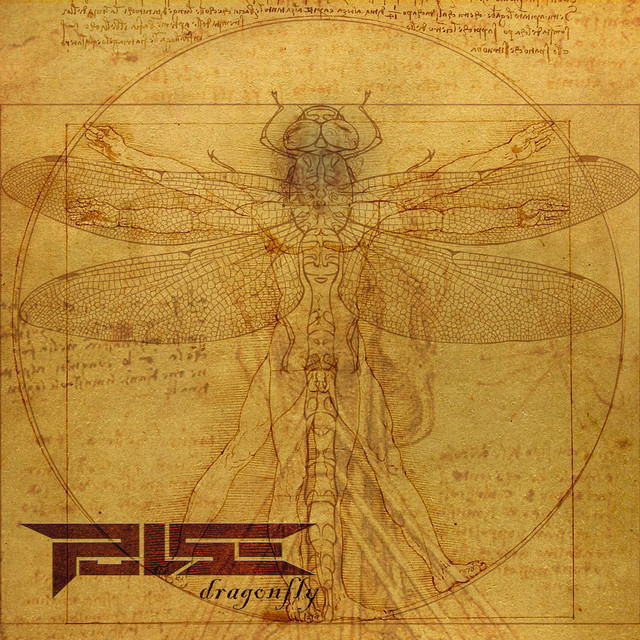 Dragonfly cover art