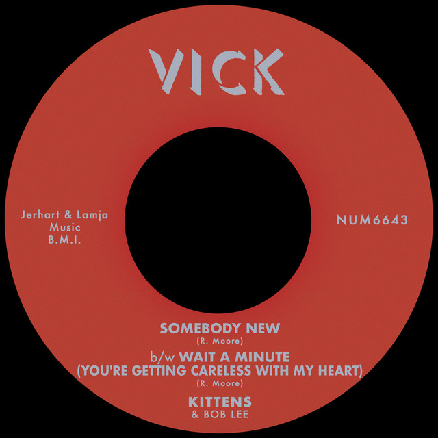 Somebody New b/w Wait A Minute (You're Getting Careless With My Heart) album image