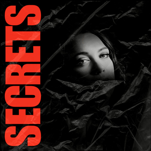 Secrets by Laney Lynx