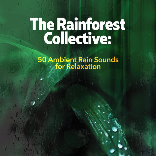The Rainforest Collective: 50 Ambient Rain Sounds for Relaxation ...