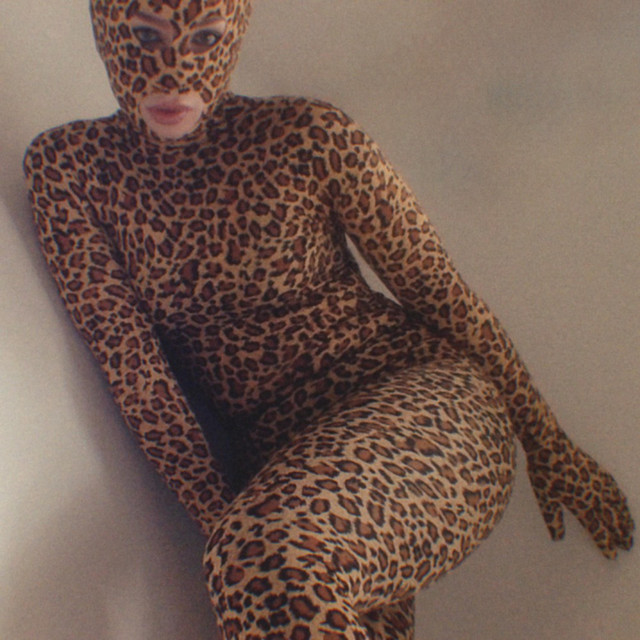 All Leopard cover art
