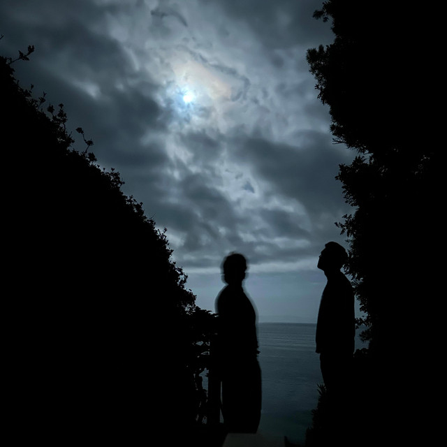 midnight walk album image