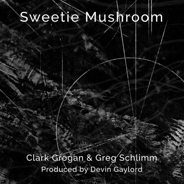 Sweetie Mushroom cover