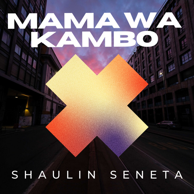Shaulin Seneta