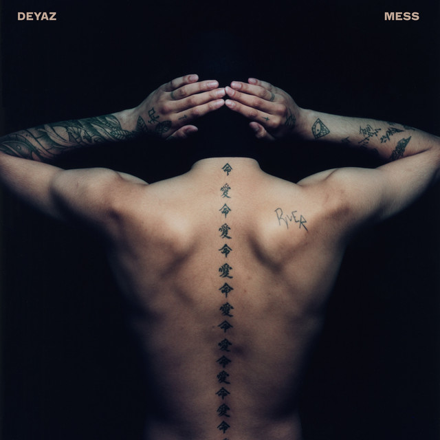 Mess cover art