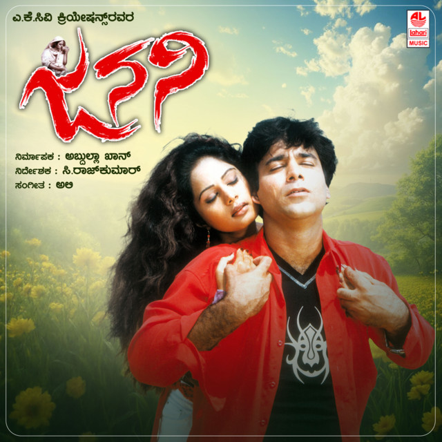 Dil Dil cover art