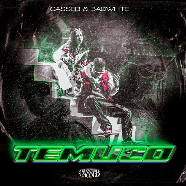 Temuco cover art