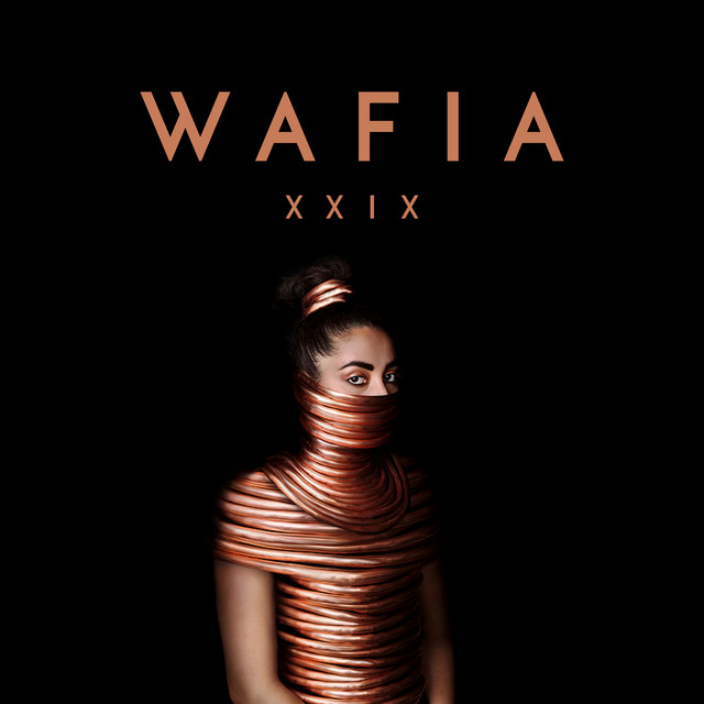 XXIX cover art