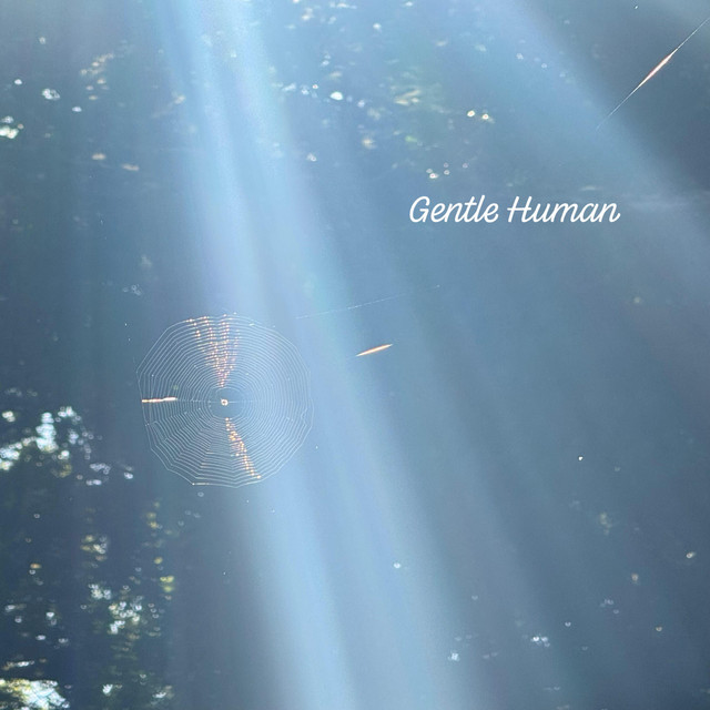 Обкладинка: Gentle human — Janeuary