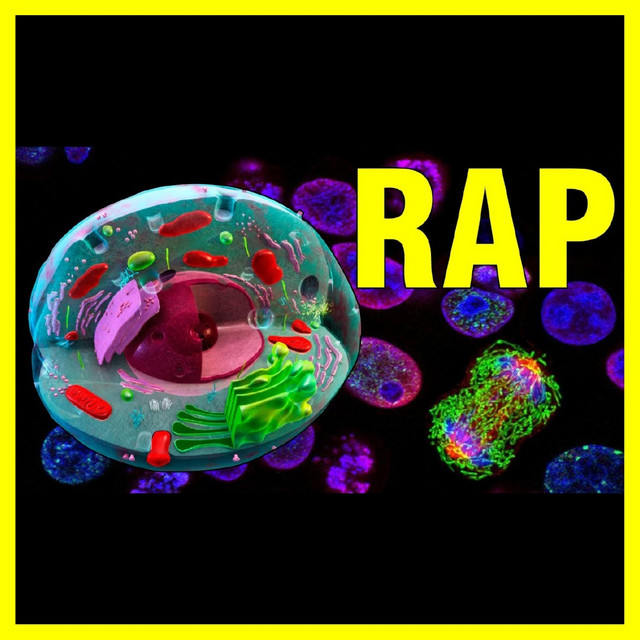Rap de La Célula | Aprende Rapeando cover art
