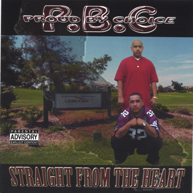 Straight From The Heart cover art
