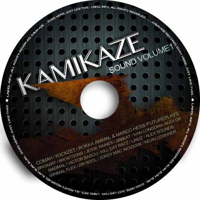 Kamikaze Sound Volume 1 - Compilation by Various Artists | Spotify