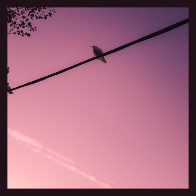 Pink Pastel