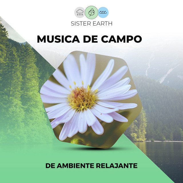 Musica de Campo de Ambiente Relajante cover art