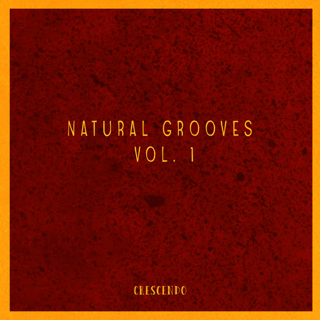 Natural Grooves, Vol. 1 cover