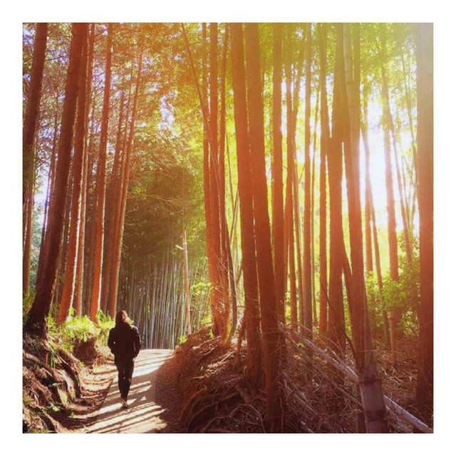 Komorebi cover art