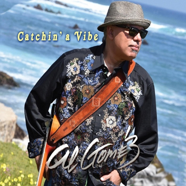 Catchin' a Vibe cover