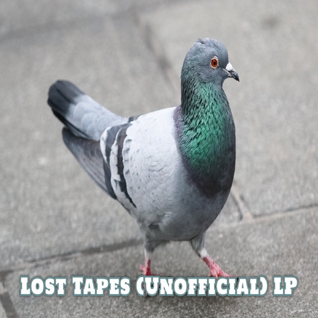 Lost Tapes (Unofficial) LP cover art