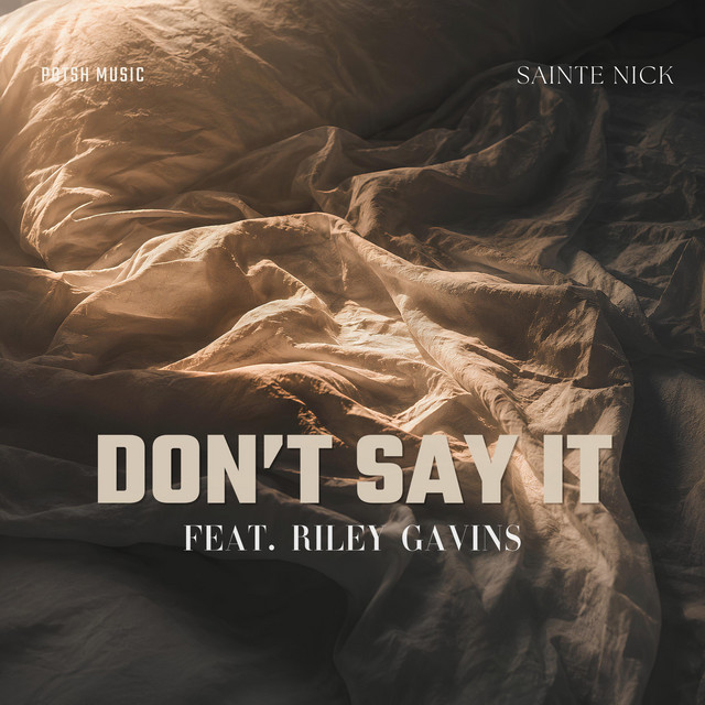 don't say it cover