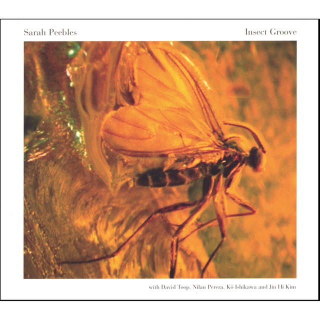 Sarah Peebles Photo