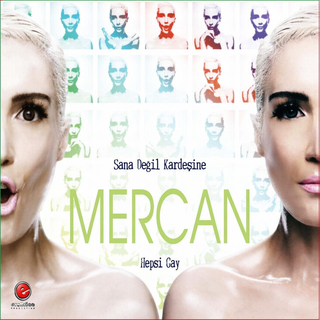 Sana Değil Kardeşine cover art