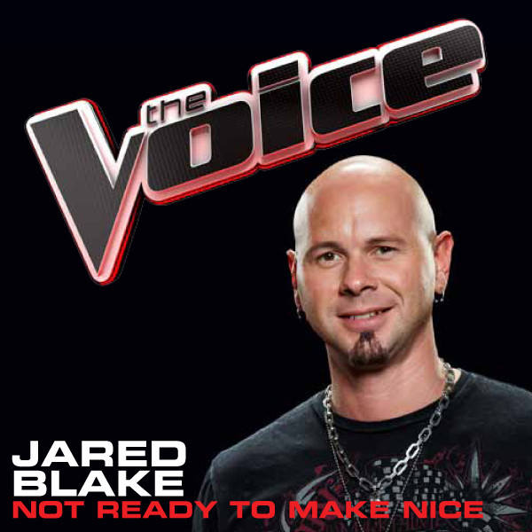 Not Ready To Make Nice (The Voice Performance) cover