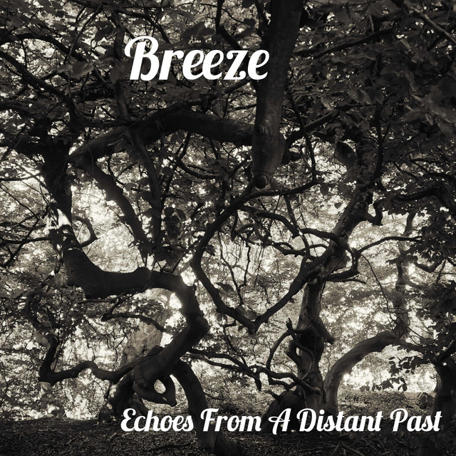 Echoes from a Distant Past cover art