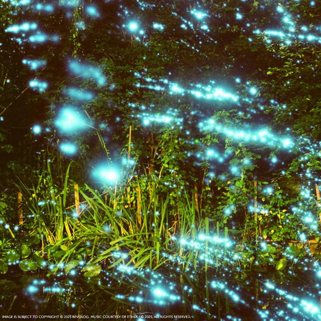COSMOS cover art