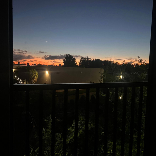 patio cover art