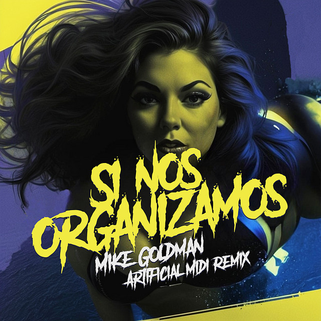 Si Nos Organizamos - Remix
