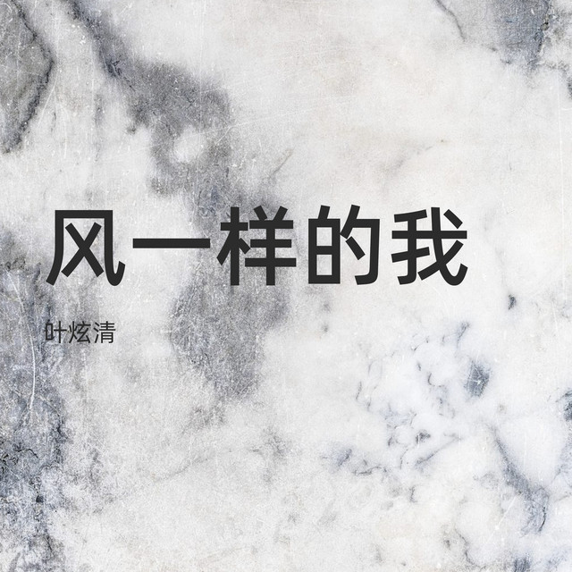 风一样的我 cover art