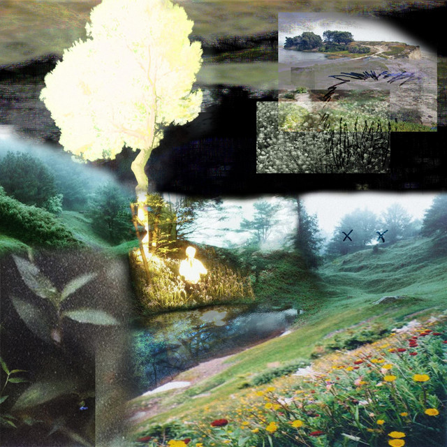 kalopsia cover art