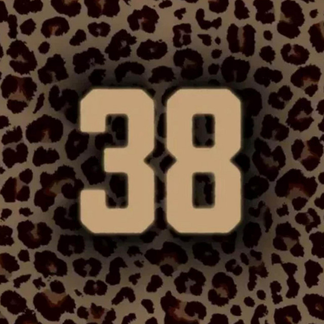#38 cover art