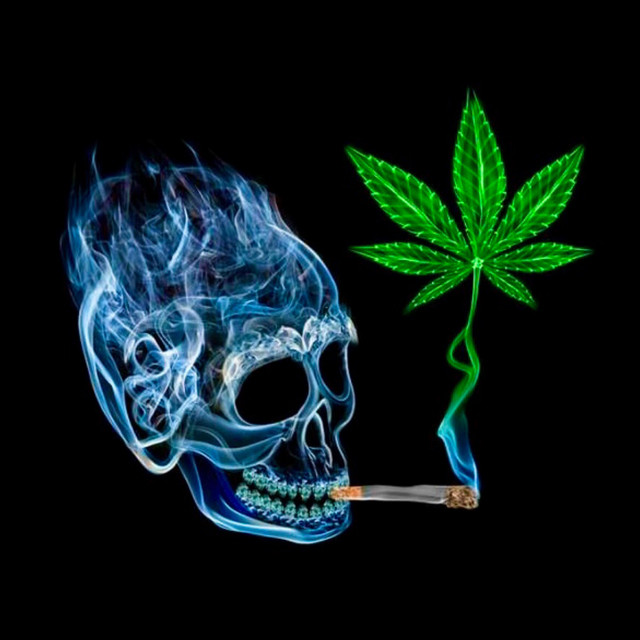 Bari cover art