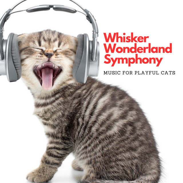 Whisker Wonderland Symphony: Music For Playful Cats cover art