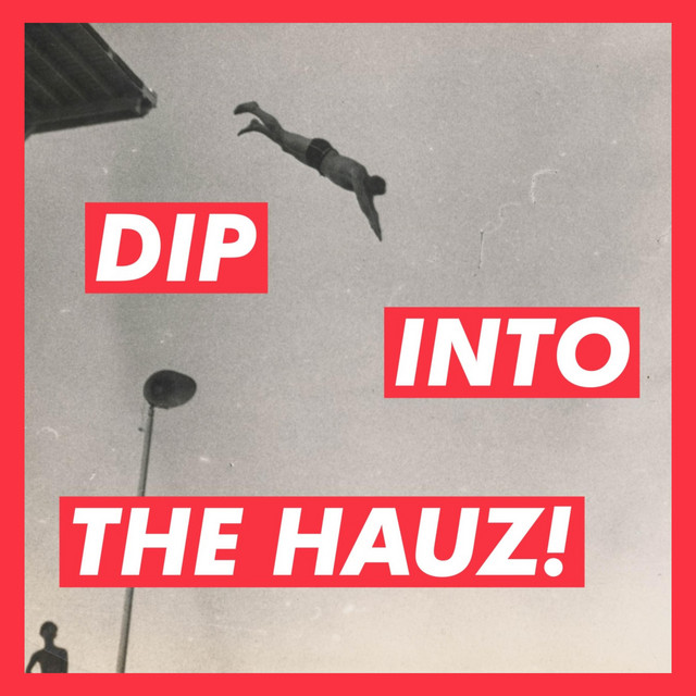 Обкладинка: Hauz! — Delumia