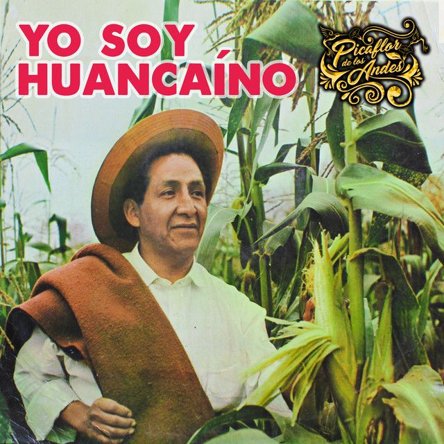 Picaflor De Los Andes Un Pasajero En Tu Camino