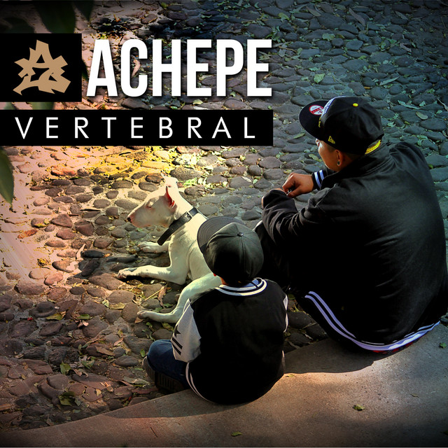 Vertebral cover art
