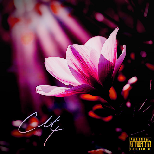 Black Magnolia cover art