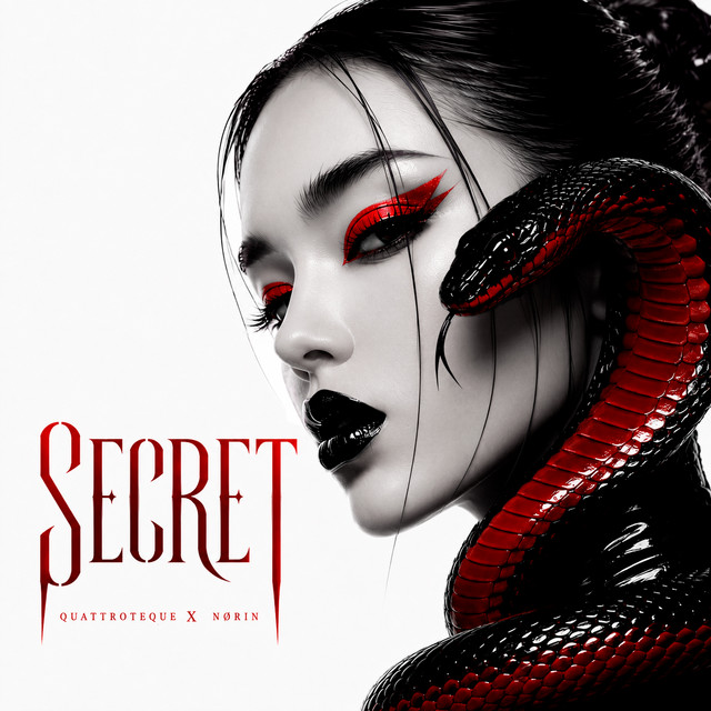 Secret album image