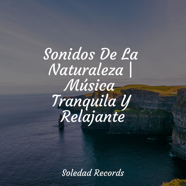 Sonidos De La Naturaleza | Música Tranquila Y Relajante cover
