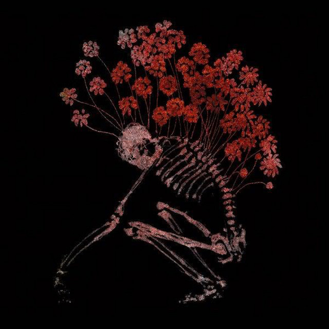 Folk Aesthetic (1996-2006) cover art