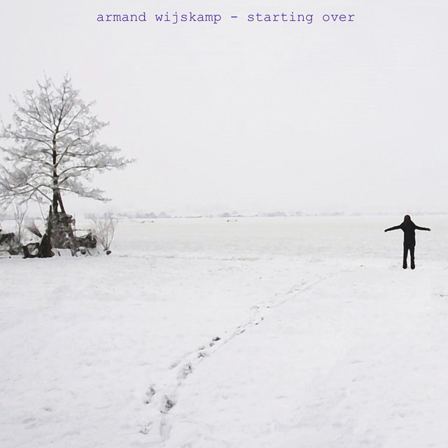 Starting Over - EP by Armand Wijskamp | Spotify