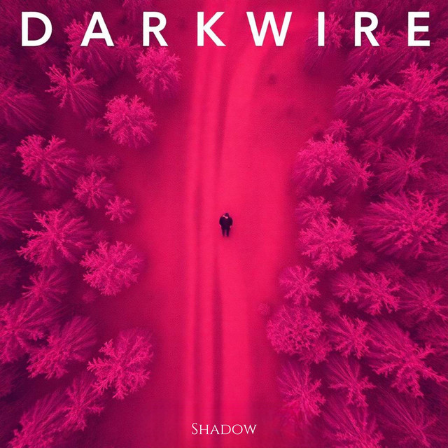 Dark Wire cover art