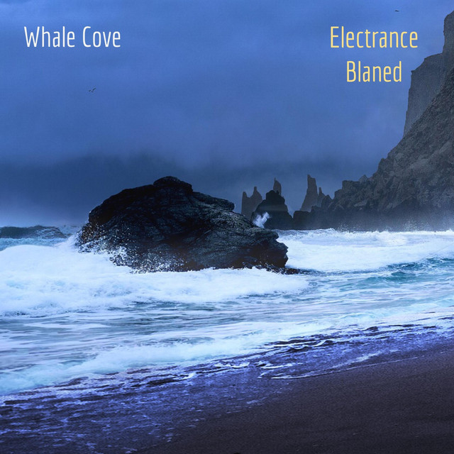 Whale Cove - Remix 1